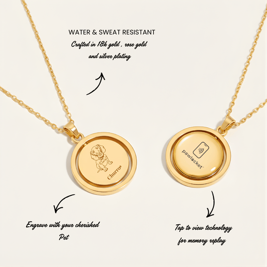 🐾 PawLocket™ – Rotating Pet Video Memory Locket