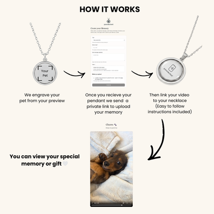🐾 PawLocket™ – Rotating Pet Video Memory Locket